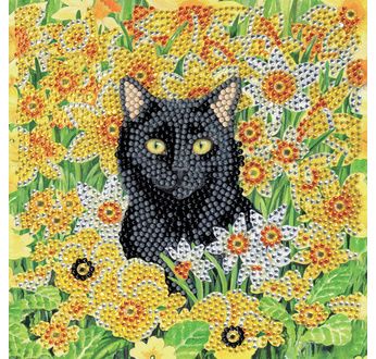 CRYSTAL ART Kit carte broderie diamant 18x18cm Chat dans le pré