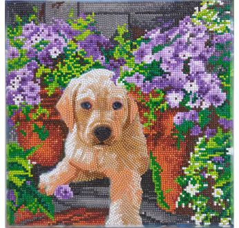 CRYSTAL ART Kit tableau broderie diamant 30x30cm Chien & fleurs