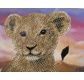 CRYSTAL ART Kit carte broderie diamant 18x18cm Lionceau