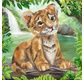 CRYSTAL ART Kit carte broderie diamant 18x18cm Bébé tigre